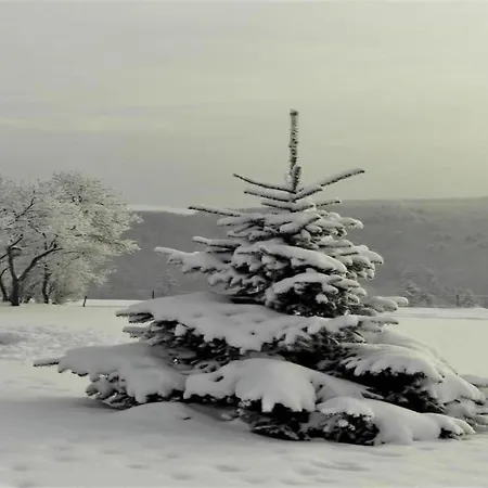 Holiday home In In The Southern Eifel