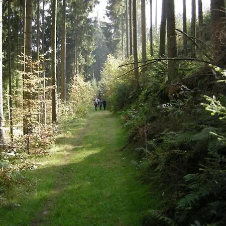 Holiday home In In The Southern Eifel